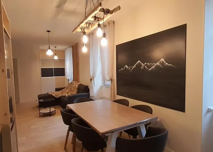 Très bel appartement T3 HYPER CENTRE ENTIEREMENT RENOVE EN 2022