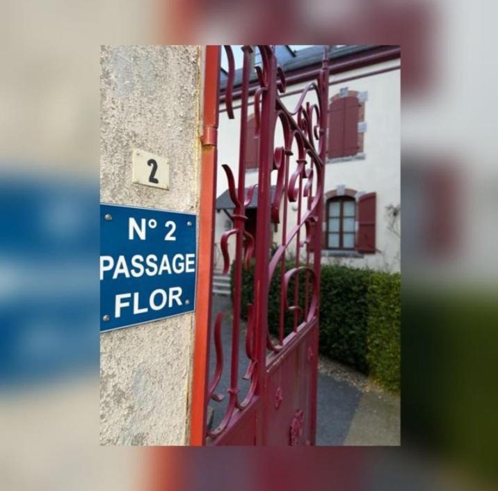 Très Bel T3 Hyper Centre Entierement Renove En 2022 Appartement *